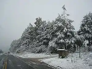 Snow in Bom Jardim da Serra