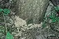 Damage