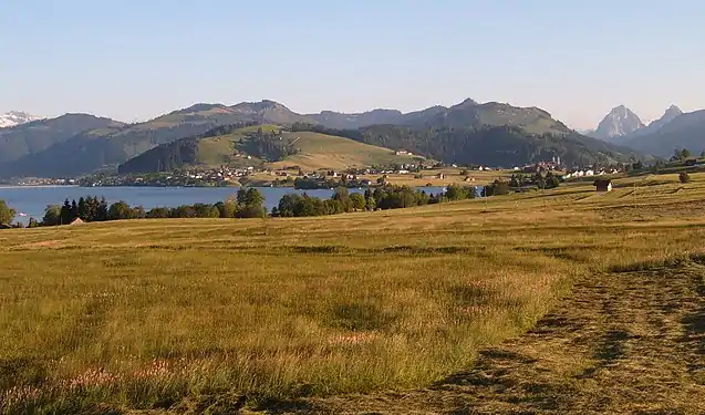 Image 6Northern shore meadows of Sihlsee, an artificial lake near Einsiedeln in the Canton of Schwyz, Switzerland. (Credit: Markus Bernet.) (from Portal:Earth sciences/Selected pictures)