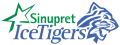 Sinupret Ice Tigers, 2006–2009