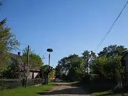 Road in Skaryszewo