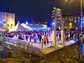 Skaters on the Ice Cube, 2010