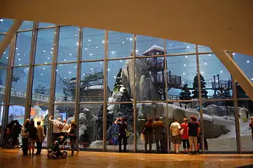Ski Dubai slope from inside Mall of Emirates