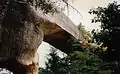 Sky Bridge