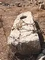 Large slab of stone (wine press?) at Rebbo