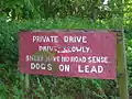 Sheep have no road sense