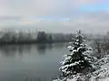 A snowy morning along the Somass