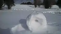 Snow rollers formed overnight during high winds in Venus, Pennsylvania