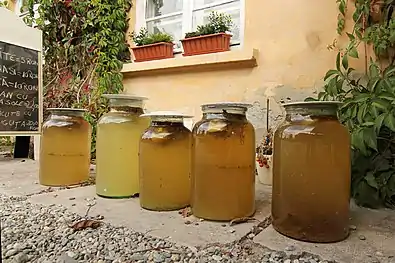 Socată is a traditional Romanian soft drink made from the flowers of the European elder (or elderberry) shrub, Sambucus nigra (soc in Romanian).
