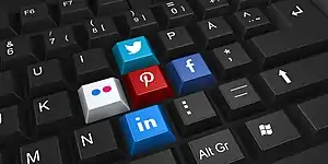 Social media and internet platforms like Facebook, Twitter, Google, and Wikipedia were popular in the 2000s.