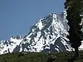A view of the Himalayas from Sonmarg valley