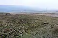The source on Chelburn Moor