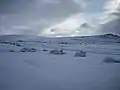 Dartmoor was blanketed with deep snow