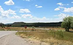 Southern Ute, south of State Highway 151, August 2019.