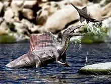 The Spinosaurus aegyptiacus (left) was the largest terrestrial predator to ever live, at 12.6 to 18 meters (41 to 59&nbsp;ft).
