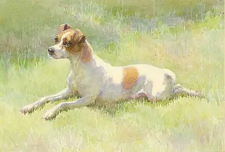 Spot, Queen Victoria's Short-haired terrier, 1895