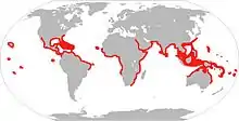 Map showing Distribution of A. Narinari