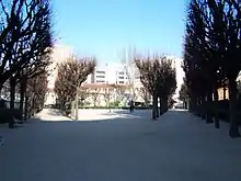 text