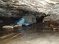 Low passage close to the connection with Middle Washfold Cave