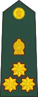 Brigadier(Sri Lanka Army)