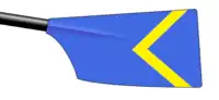 Image showing the rowing club's blade colours