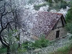 Church in spring