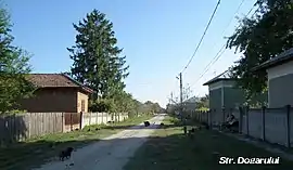 Dogaru Street, Bujoru