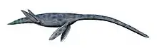 Restoration