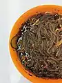 Sì chuān suān là fěn(Hot and sour noodles) made with Fensi or Hongshufen