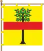 Flag of Sudova Vyshnia