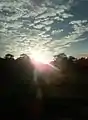 Sunny day catch from the Ramjanaki community Forest