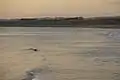Surfer at Castlecliff Beach