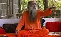 Swami William in Last Hippie Standing