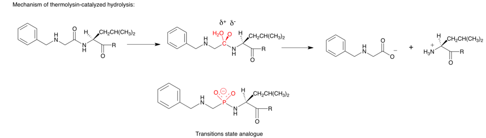 Transitions state analogue example 2