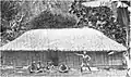 Tahitian hula dancers