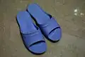 Taiwanese Blue Slides