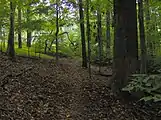The Tall Timbers Trail in the park's east section