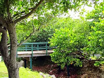 Bridge in Terranova