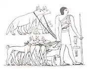 Image 38Tesem, an ancient Egyptian sight-hound (from Dog breed)