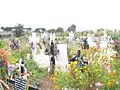 San Francisco Tetlanohcan has a flower covered cemetery.