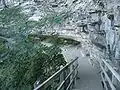 Indian Ladder Trail, from above a staircase leading down over brush