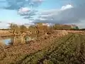 Section 61 - The path eventually rejoins the river on its way to Hannington Bridge