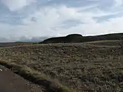The Hill of the Whale