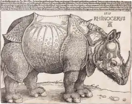 The Rhinoceros; by Albrecht Dürer; 1515; woodcut; 23.5 × 29.8&nbsp;cm; National Gallery of Art (Washington, D.C., USA)