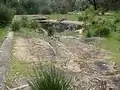 The pool constructed by the Zumsteins for use by visitors to the holiday park