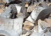 The petroglyph with swastikas, Gegham mountains, Armenia, circa 8,000 - 5,000 BCE