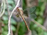 Young male viewed from under