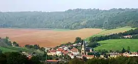 A general view of Thonne-les-Près