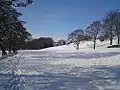 Work Bank Lane in Thurlstone during the 2 February 2009 Snow in the UK.