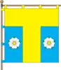 Flag of Tomashpil